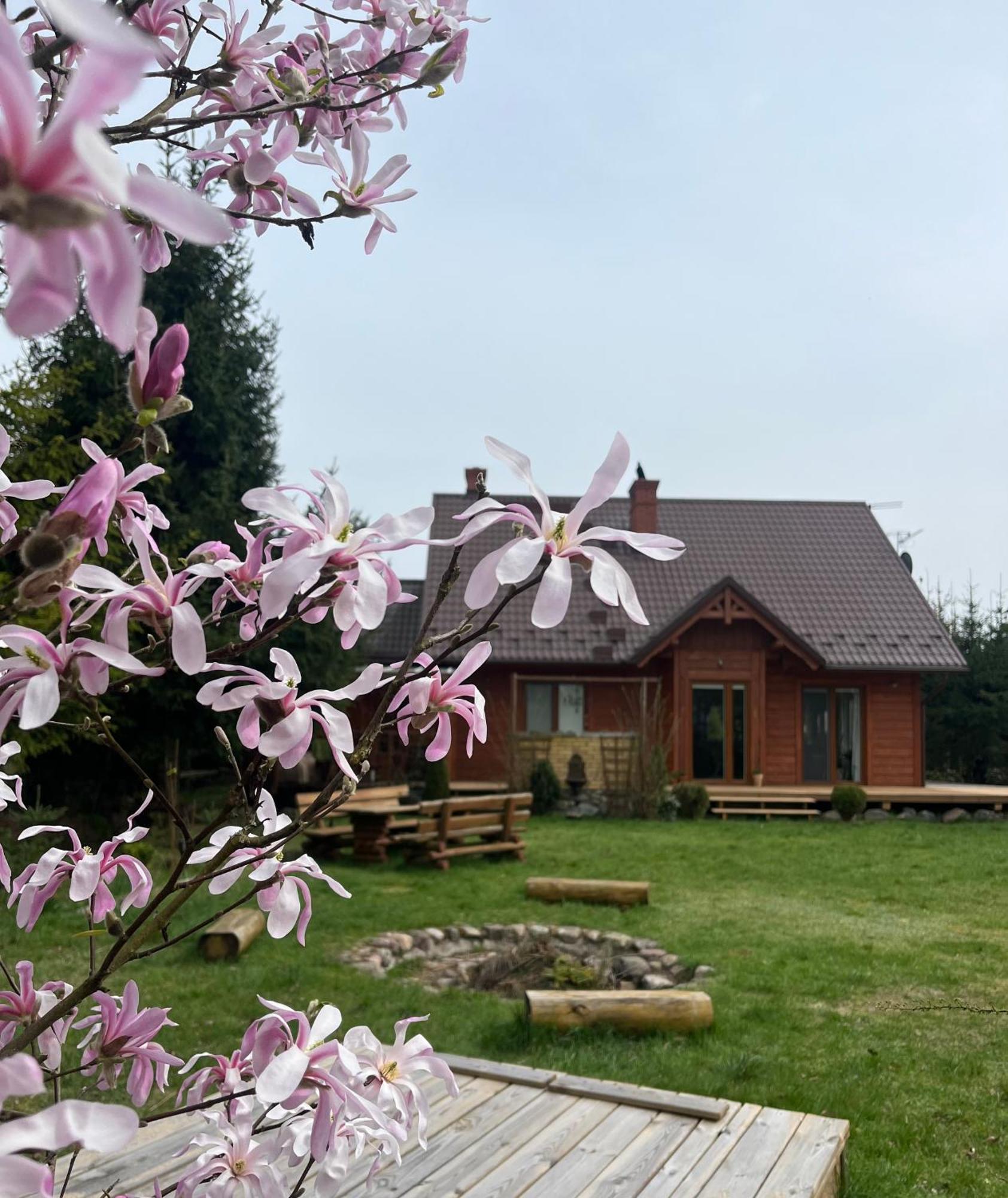 Villa Drewniany Dom W Cudownej Okolicy "Twoja Ostoja" à Brusy Extérieur photo